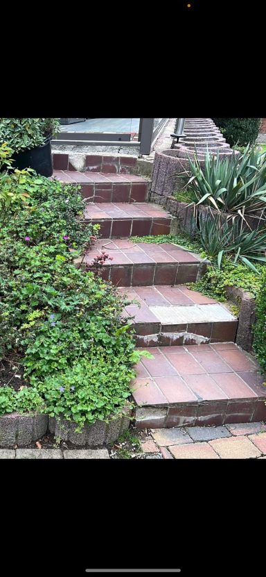 Steinerne Treppe mit Pflanzen und Sträuchern an den Seiten.